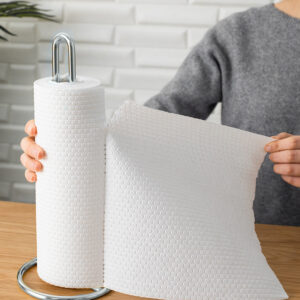 Wrought iron vertical tissue holder