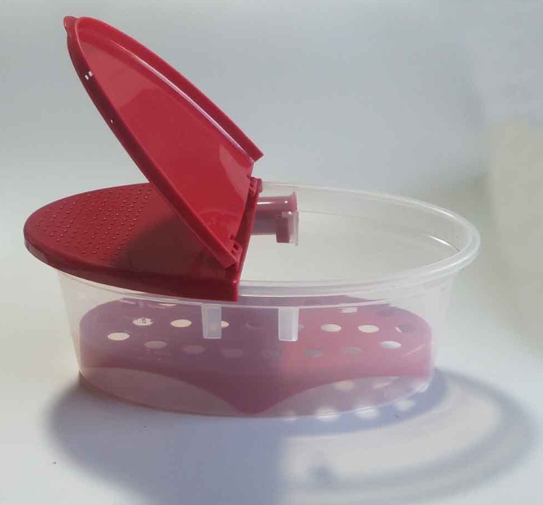 Pasta box pasta bowl - Image 3